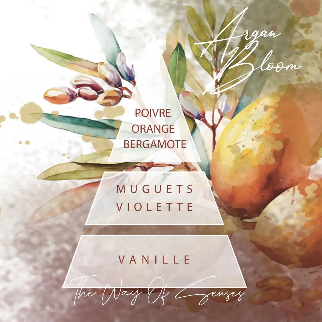 BOTASENS laundry perfume Argan Bloom olfactive pyramid