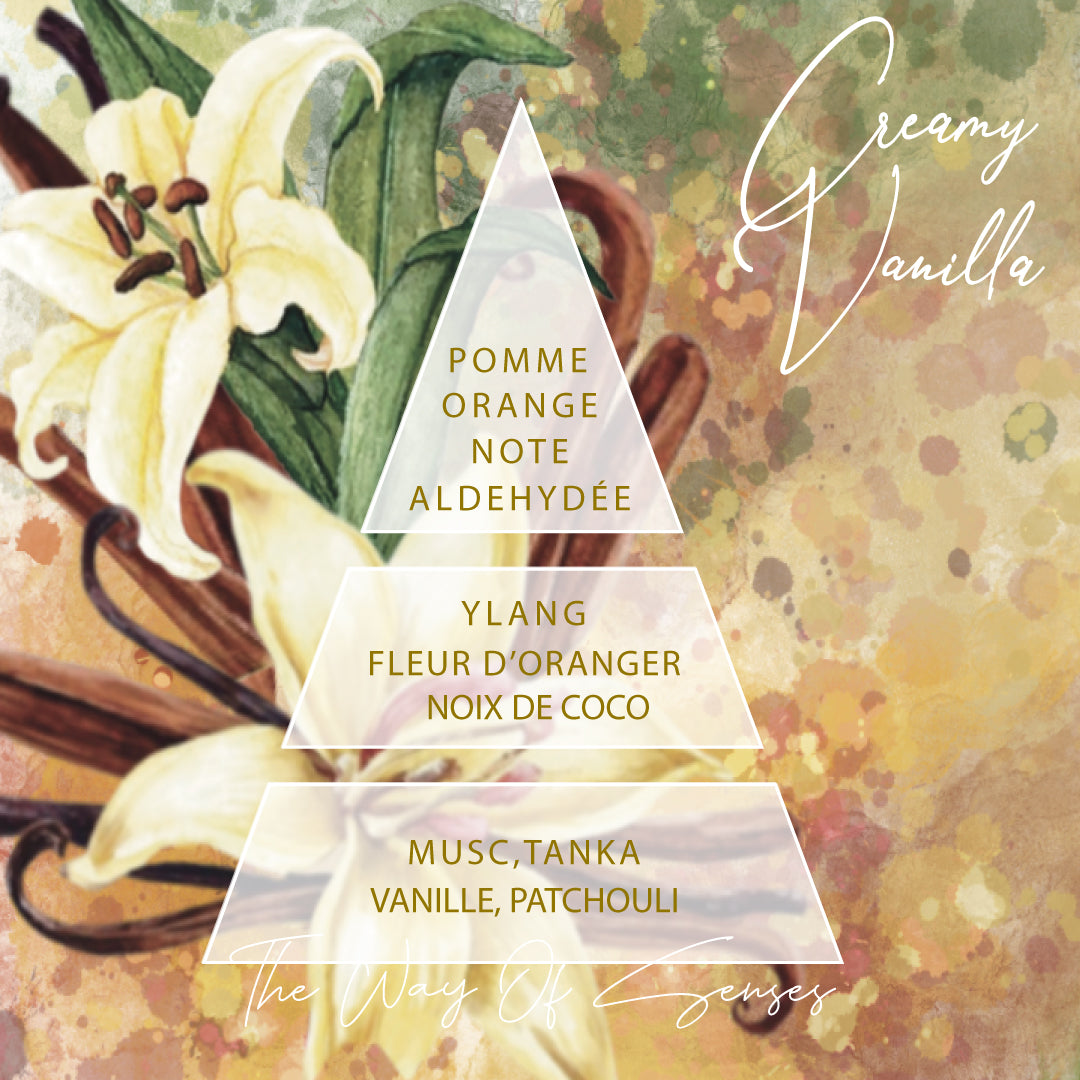 BOTASNES Laundry Perfume Creamy Vanilla olfactive pyramid