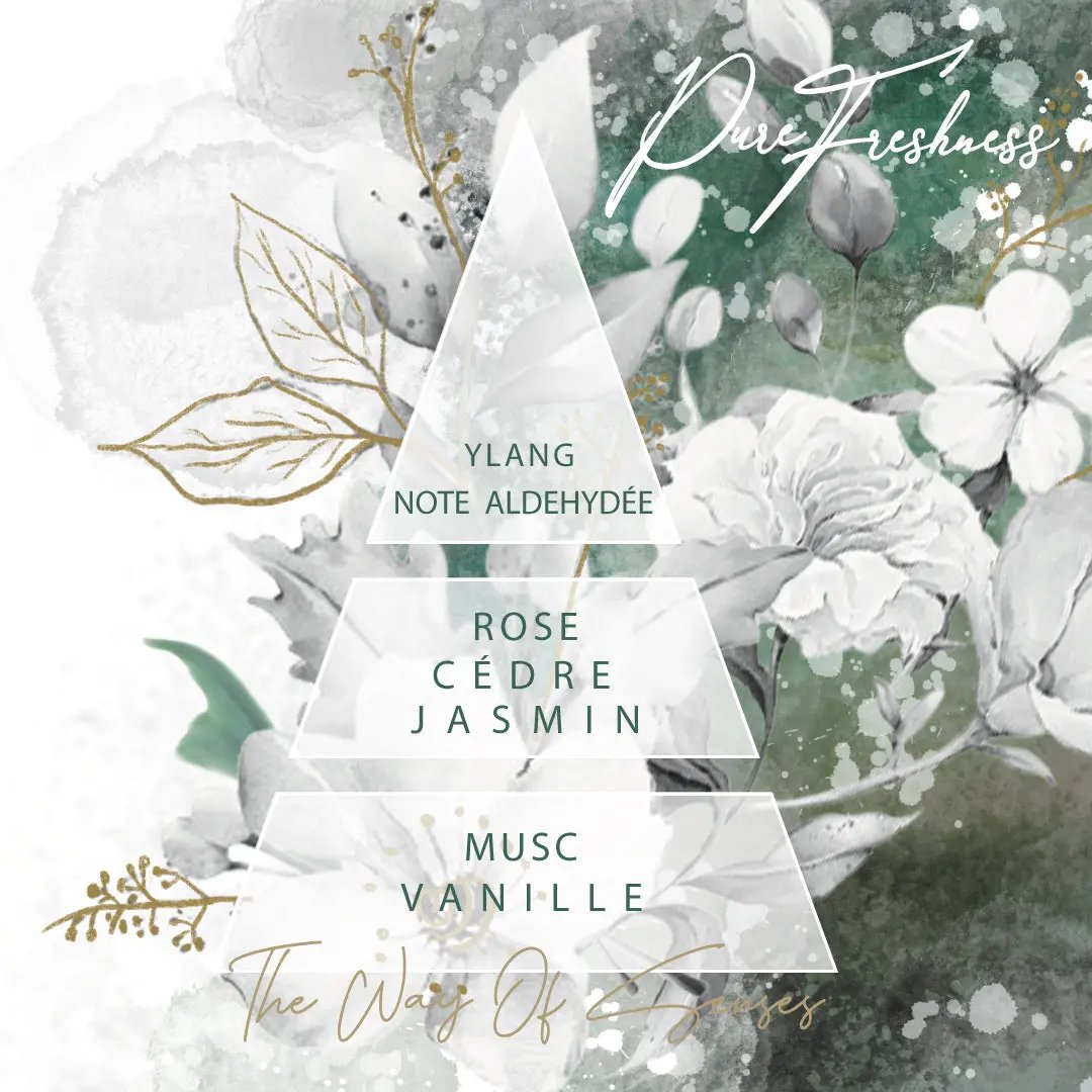 BOTASENS Laundry Perfume Pure freshness olfactive pyramid